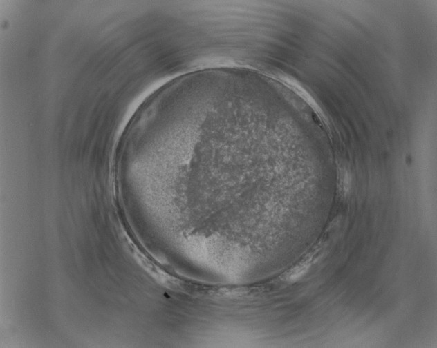 X0000068891148200605261839