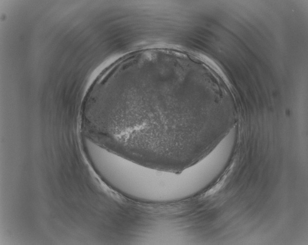 X0000068891149200605261839