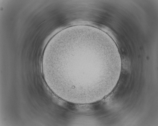 X0000068891150200605261839