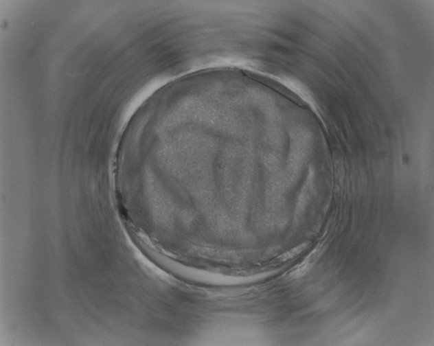 X0000068891151200605261839