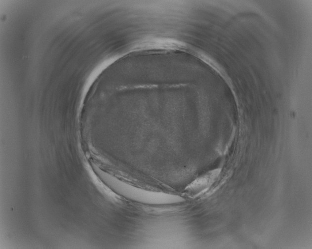 X0000068891152200605261839