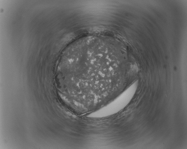 X0000068891153200605261839