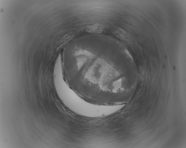 X0000068891154200605261839