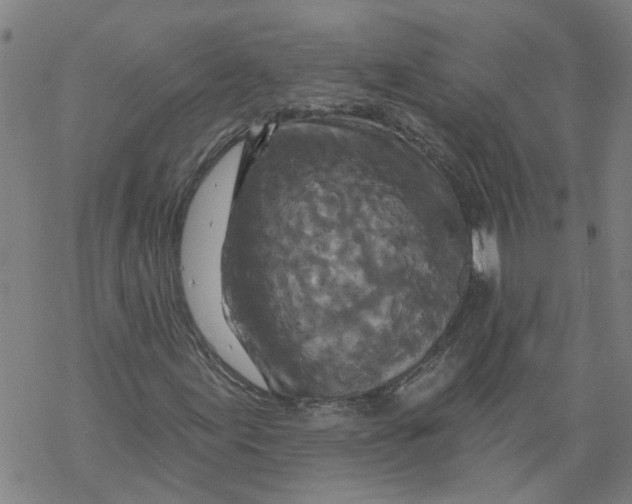 X0000068891155200605261839