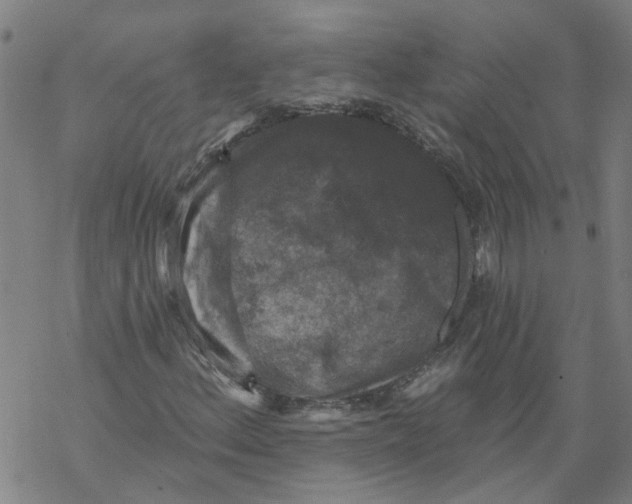 X0000068891156200605261838