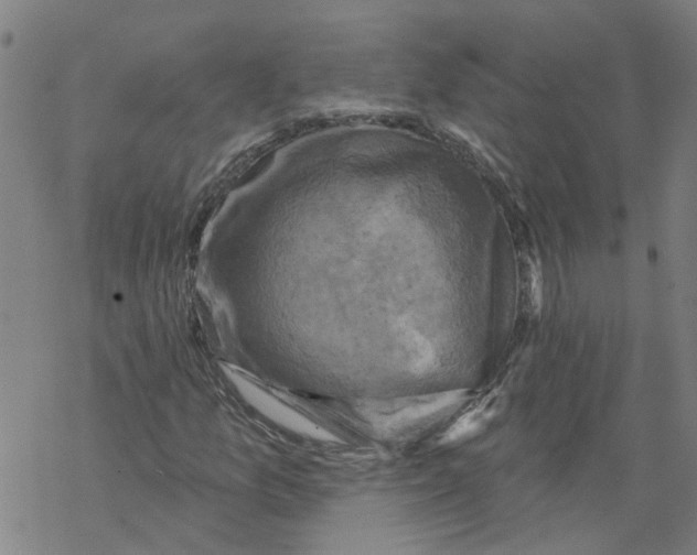 X0000068891157200605261838