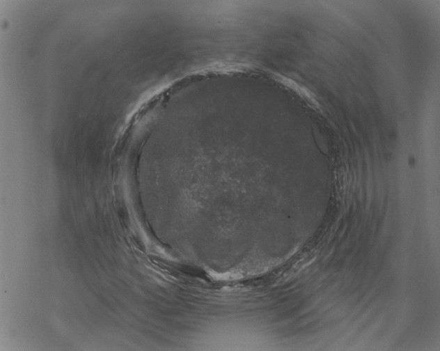 X0000068891160200605261838