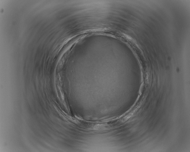 X0000068891161200605261838