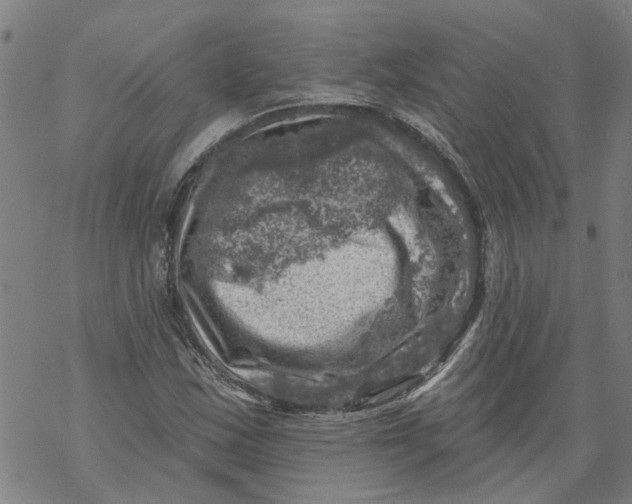 X0000068891163200605261838