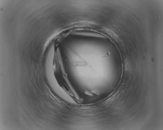 X0000068891164200605261838