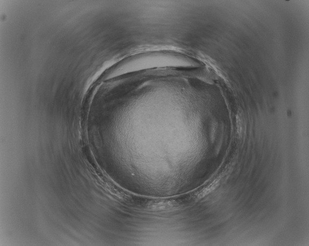 X0000068891165200605261838