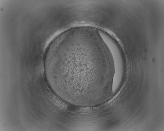 X0000068891167200605261838