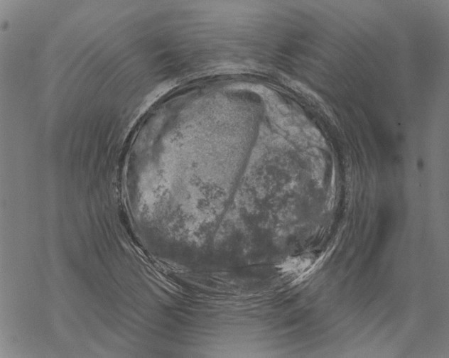 X0000068891170200605261838