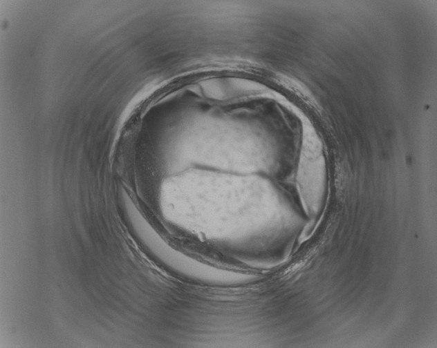 X0000068891172200605261838