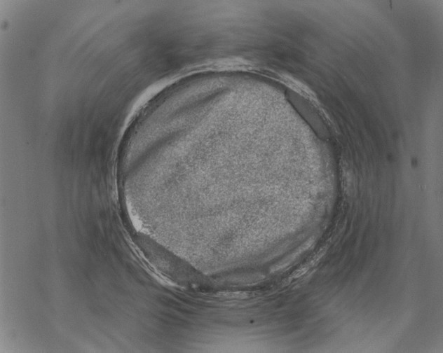 X0000068891176200605261838