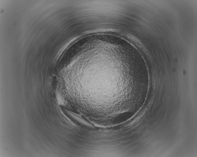 X0000068891177200605261838