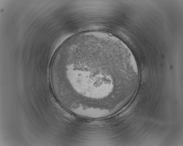 X0000068891178200605261838