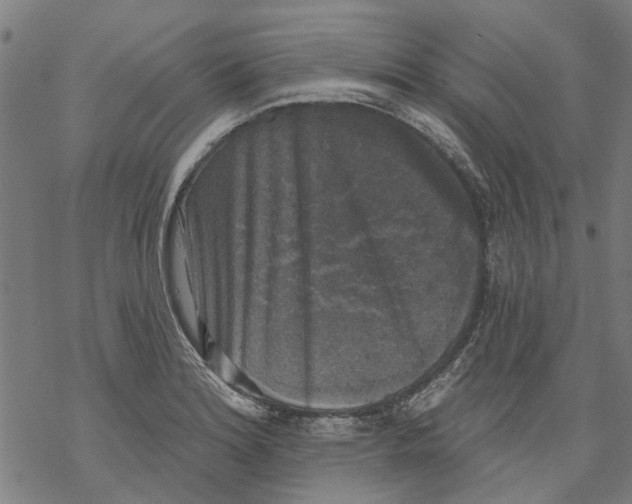 X0000068891180200605261838