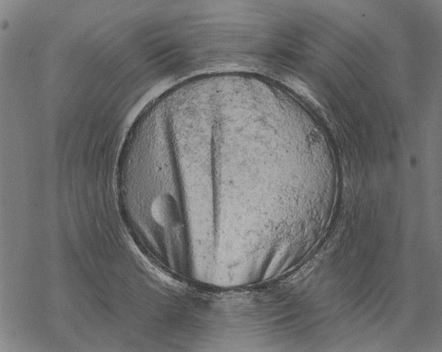 X0000068891181200605261838