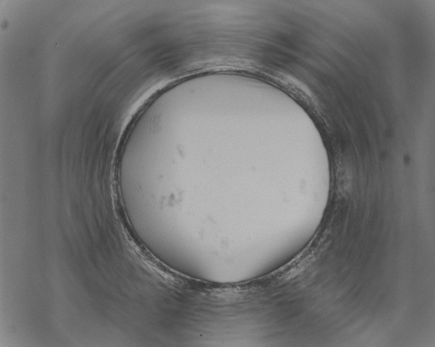 X0000068891182200605261838