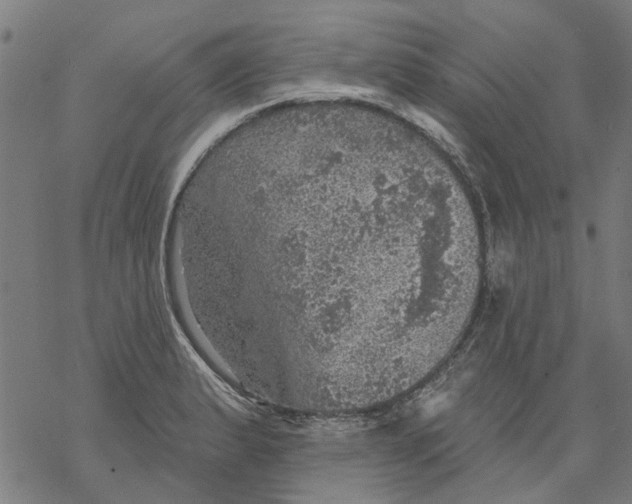 X0000068891183200605261838