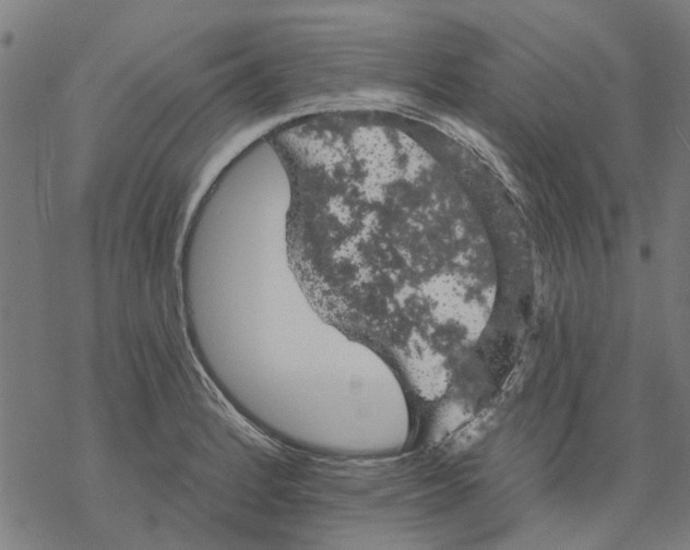 X0000068891184200605261838