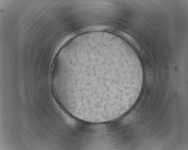 X0000068891186200605261838