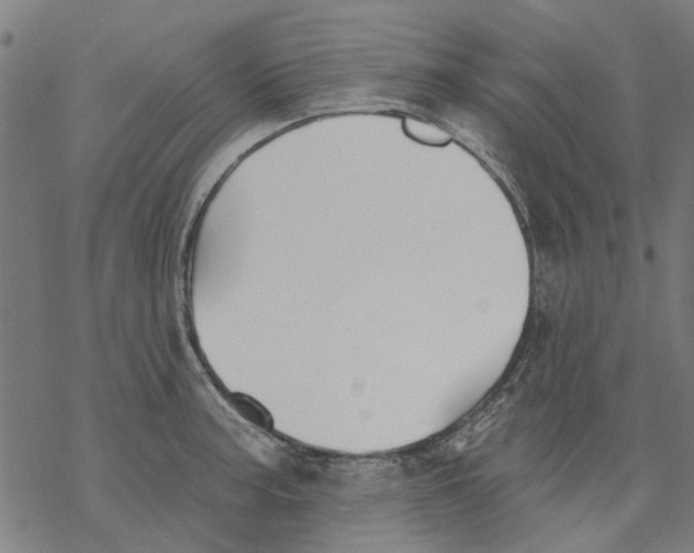 X0000068891187200605261838