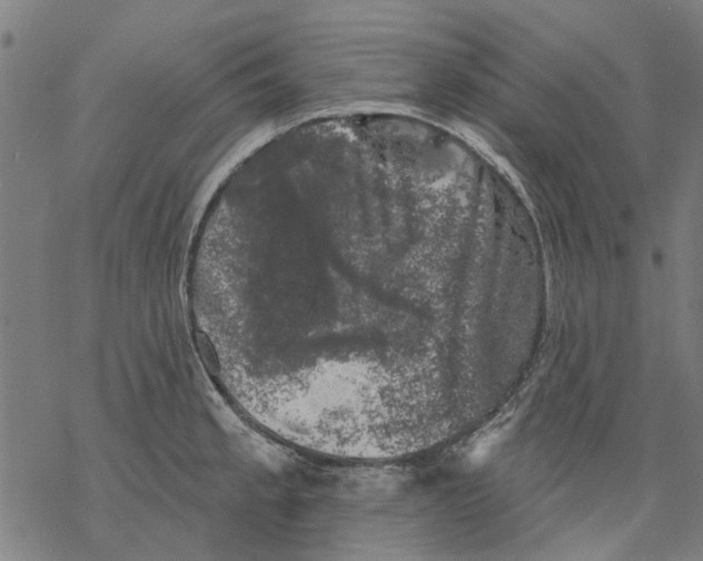 X0000068891189200605261838