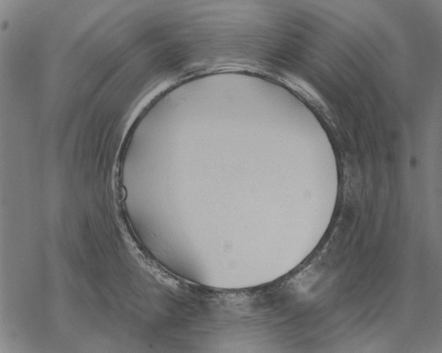 X0000068891190200605261838