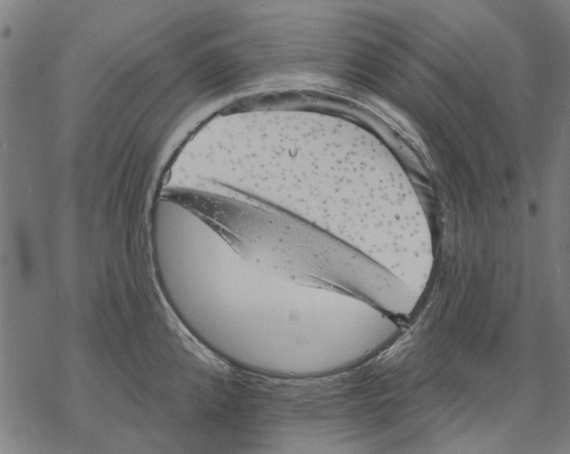 X0000068891192200605261838