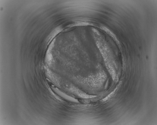 X0000068891193200605261838