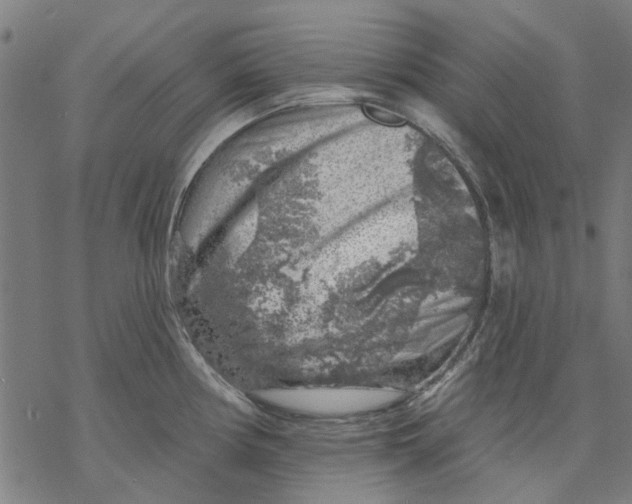 X0000068891194200605261838