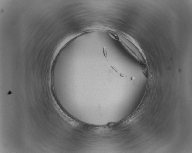 X0000068891195200605261838