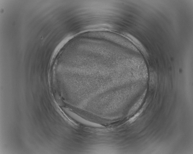 X0000068891196200605261838