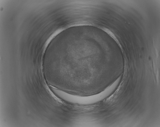 X0000068891197200605261838