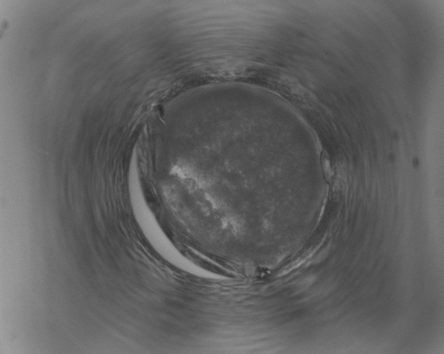 X0000068891202200605261837