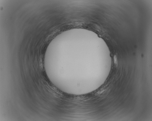 X0000068891203200605261837