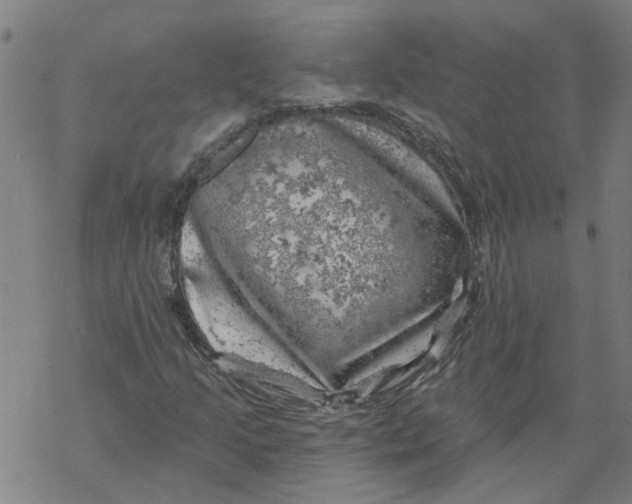 X0000068891205200605261837