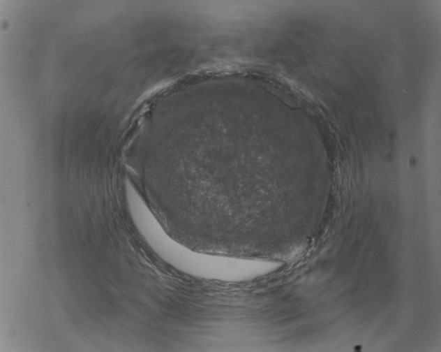 X0000068891206200605261837