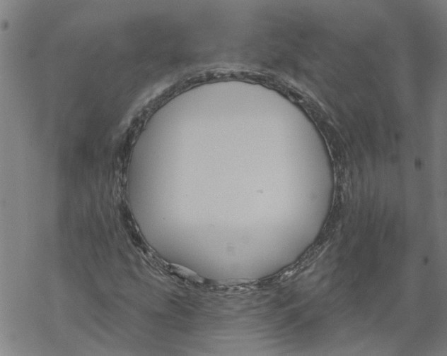 X0000068891207200605261837