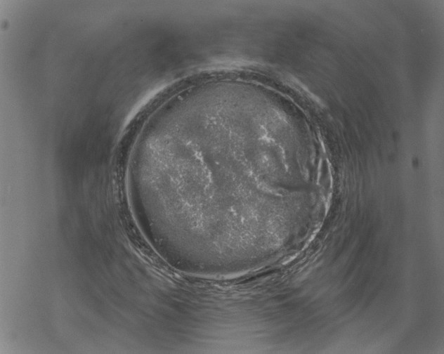 X0000068891208200605261837