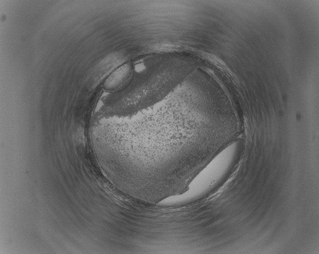 X0000068891209200605261837