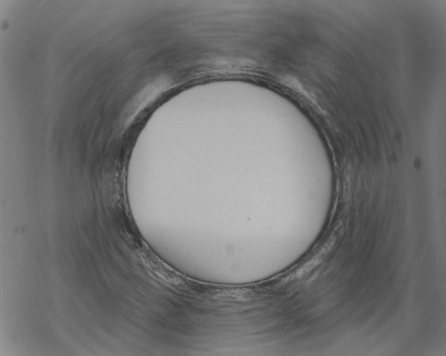 X0000068891211200605261837