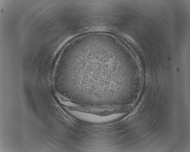 X0000068891212200605261837