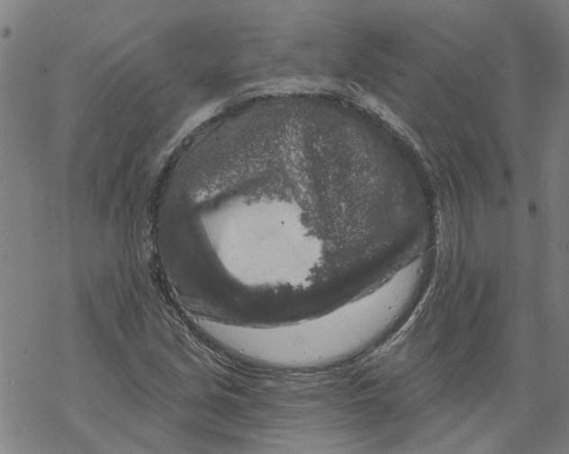 X0000068891213200605261837