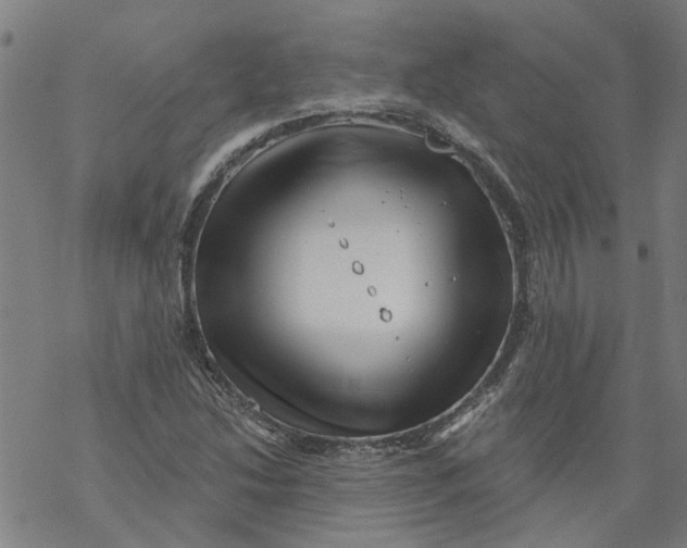 X0000068891214200605261837