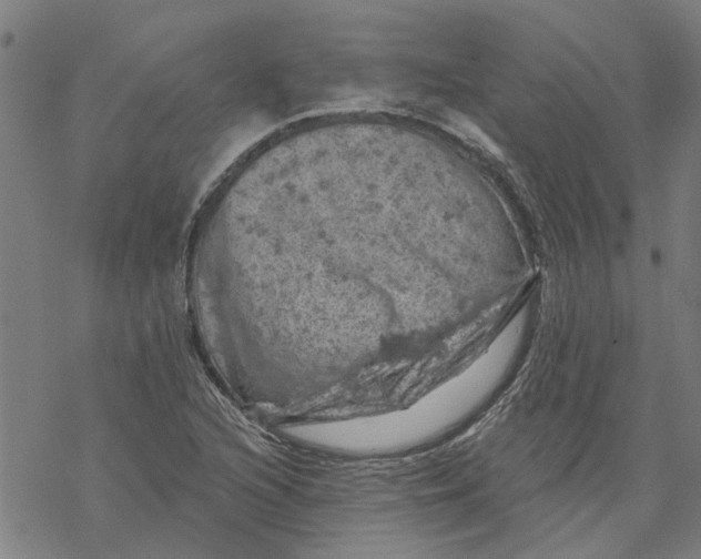 X0000068891216200605261837