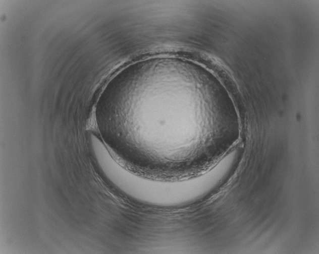 X0000068891217200605261837