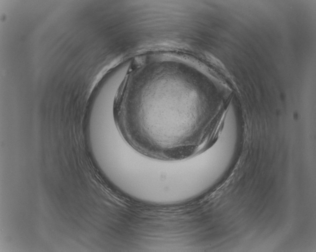 X0000068891218200605261837